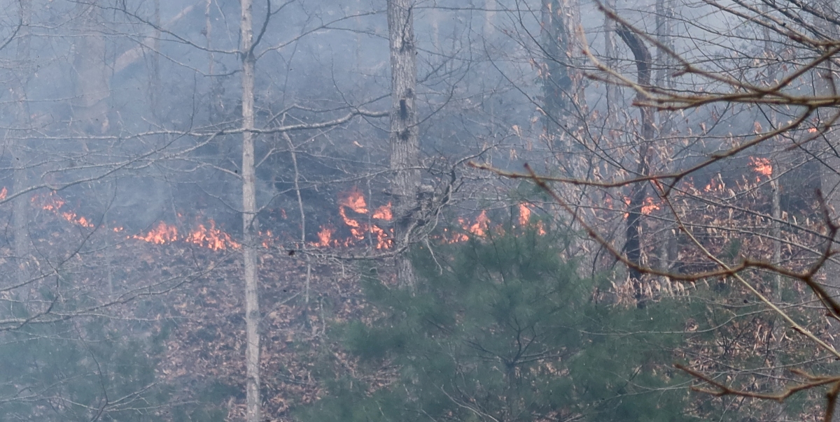 Emergency responders are battling a brush fire that started in Kanawha County Saturday afternoon